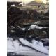 Audi A4 Diesel avariat 4281-3