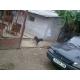 Dacia 1307 Diesel avariat 2812-1