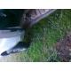 Ford Transit Diesel avariat 3644-4
