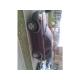 Land-Rover FeeLander Benzina avariat 2709-3