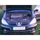 Peugeot 607 Diesel avariat 2391-4