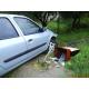 Renault Clio-II Benzina avariat 2860-4