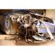 Seat Leon Diesel avariat 2156-3