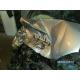 Volkswagen Golf-IV Diesel avariat 2684-1