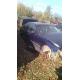 dezmembrez BMW 316 - piese auto-3