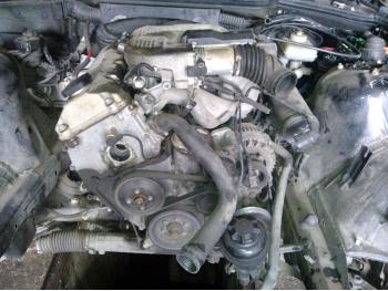 imagine dezmembrez-BMW-316-avariat-28883.htm
