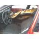 dezmembrez BMW 318 - piese auto-1