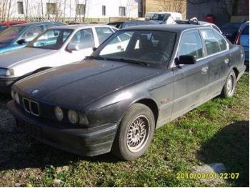 imagine dezmembrez-BMW-525-avariat-3484.htm