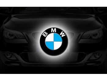 imagine dezmembrez-BMW-528-avariat-15634.htm