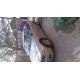 dezmembrez BMW 530 - piese auto-3