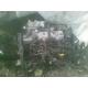 dezmembrez Ford Focus - piese auto-3