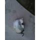 dezmembrez Opel Astra-F - piese auto-1