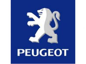imagine dezmembrez-Peugeot-206-avariat-14503.htm