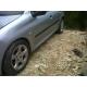 dezmembrez Peugeot 206 - piese auto-3