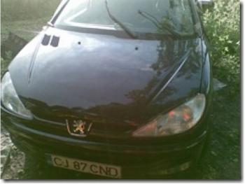 imagine dezmembrez-Peugeot-206-avariat-2448.htm