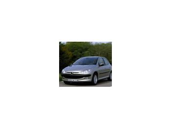 imagine dezmembrez-Peugeot-206-avariat-28761.htm