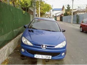 imagine dezmembrez-Peugeot-206-avariat-9306.htm