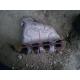 dezmembrez Renault Laguna-I - piese auto-1