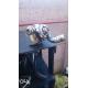 dezmembrez Renault Laguna-II - piese auto-3
