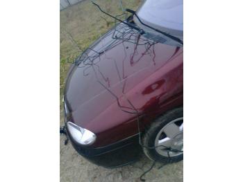 dezmembrez-Renault-Megane-avariat-27469.htm imagine dezmembrez-Renault-Megane-avariat-27469.htm