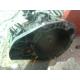 dezmembrez Rover 75 - piese auto-3