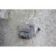 dezmembrez Seat Leon - piese auto-1