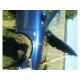 dezmembrez Seat Toledo - piese auto-1