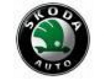 imagine dezmembrez-Skoda-Fabia-avariat-12050.htm
