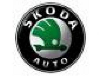 imagine dezmembrez-Skoda-Fabia-avariat-2177.htm