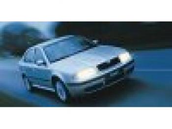 imagine dezmembrez-Skoda-Octavia-avariat-11272.htm