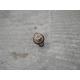 dezmembrez Volkswagen Golf-IV - piese auto-1