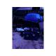 dezmembrez Volkswagen Golf-V - piese auto-1